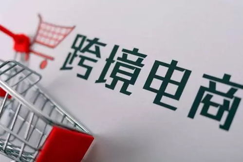 海南自贸港加速建设，跨境电商直购时代来临 信息咨询服务的机遇与挑战